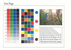 Bizhub C280 - Toner się sypie, głównie cyan i yellow. Co robić?