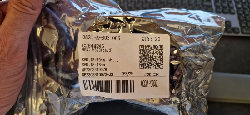 Package of WB2S Modules with Label Photo of a hand holding a package of WB2S modules with a visible label.