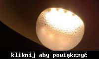 Lampa LED w plafonie skrapla wodę - co może być przyczyną?