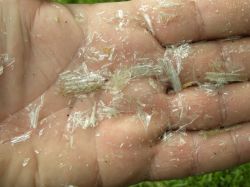 Rainwater Tanks: Preventing Algae Formation in Mauser 1000L Tanks with Proven Preparations
