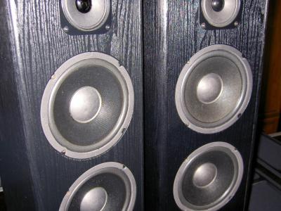 Cóż to za głośnik? YD165-6R70B