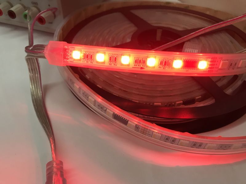 RGBW LED Strip with TM512 and RS485 Connection Lines Close-up of RGBW LED strip with 60 SMD5050 LEDs per meter and visible power and communication lines.