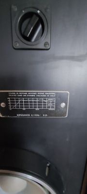 Co to za Altusy? Podłączenie wzmacniacza Technics SU-V45A