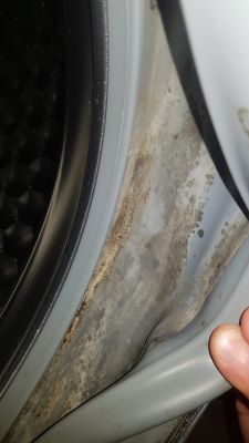 Miele AURIN W3732 - gdzie znaleźć fartuch lub usunąć osad?
