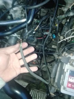 Citroen C5 2.2 HDI - Gdzie podłączyć urwane kable od potencjometru gazu?