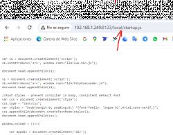Screenshot of a browser showing JavaScript code from the URL http://192.168.1.249:8123/local/startup.js.