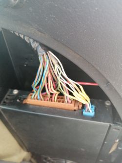 Podłączenie kabla Remote od wzmacniacza do radia Symphony II Audi A4 B6