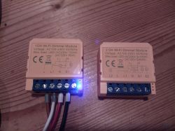 1CH and 2CH Wi-Fi dimmer modules on a wooden surface