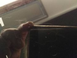 Induction Hob Bosch PIF651FB1E - stains of unknown origin (scratches?)