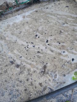 Renault Master III licznik inspekcji odlicza co 4 km