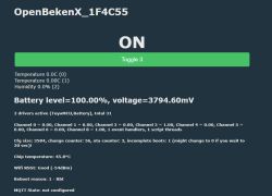 Screenshot of the OpenBekenX user interface showing device status information.