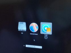 Mac Startup Disk Selection Screen Startup disk selection screen with options: SSD, Install macOS Sequoia, and EFI Boot.