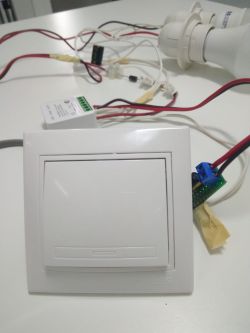 Modifying Tuya Mini for No-Neutral Installation: Experiences with Diode Polarity Reversal?