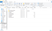 Locating Removed Images and Error Codes in Google Chrome History
