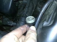 seat toledo 1,6 16v gdzie podłączyc cienki wężyk od zaworu rgd