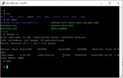 Okno terminala PuTTY z informacjami o systemie plików i partycjach dysku.