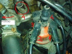 Audi A4 B5 1.6 Engine Wiring Diagram for Candles - Seeking Photo & Guidance