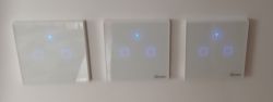 Sonoff T2 EU smart light switch - how to control by voice?