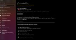 Brak windows update w usługach jaki w całym systemie