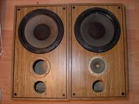 Wymiana głośników w kolumnie - problem ze zwrotnicą