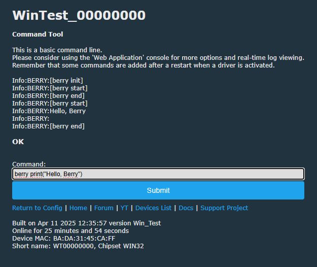 Berry Command Tool Interface Berry command tool interface displaying the result of the command berry print(Hello, Berry).