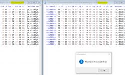 Comparison of two binary files in a program window with a message about file identity
