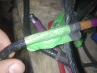 Escort mk7 1.6 zetec efi - rozpiska gniazd wiązki silnika