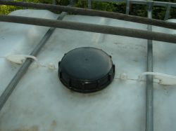 Rainwater Tanks: Preventing Algae Formation in Mauser 1000L Tanks with Proven Preparations