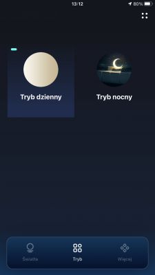 Lighting Control App Interface Mobile app screen with lighting modes: day and night.