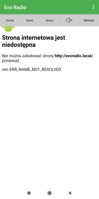 Internet radio and audio file player on ESP32-S3
