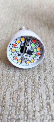 Interior of an Eveready smart bulb with visible LED arrays and electronic components.