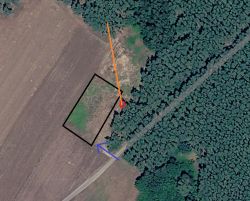 Jaka kamera LTE solarna na SIM do 1000 zł na działkę z słabym zasięgiem Orange?
