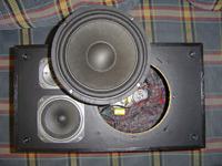 Zwrotnica do Tonsilów