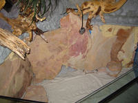 Zautomatyzowana komora dla roślin