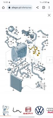 Passat b6 1.9 tdi 2005r BKC - Bład czujnik płynu chłodzącego P2185