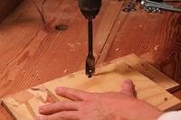 Zamień smartfona w mikroskop w 20 minut