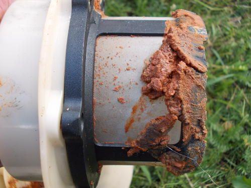 Jakość paliwa 95 na stacjach - problemy z odpalaniem małych silników