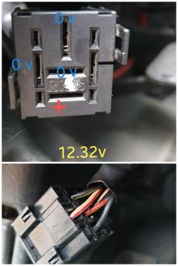 Jaki przekaźnik do auto alarmu Clifford bez modelu? Rozpoznanie po zdjęciu