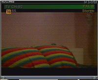 Tuner TV (Leadtek Winfast 2000XP RM) - brzydki, śnieżący obraz Tuner TV (Leadtek Winfast 2000XP RM) - brzydki, śnieżący obraz