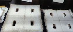 Dwie płyty ceramiczne z wypalonymi otworami od działania wysokiej temperatury