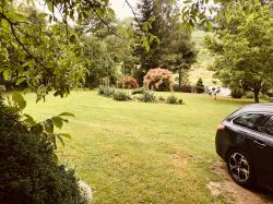 Best Petrol Lawn Mowers under PLN 1400 with Drive & Engine Speed Control: Top Picks Best Petrol Lawn Mowers under PLN 1400 with Drive & Engine Speed Control: Top Picks