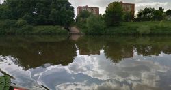 Czajka - powtórka z rozrywki