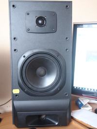 Jak ustalić, co to za model kolumn Tonsil?