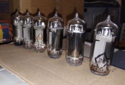 Sześć lamp elektronowych 6S19P ustawionych w rzędzie na kartonie, widok z bliska.