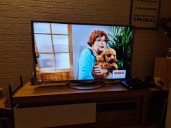 Telewizor Sony z obrazem przedstawiającym kobietę trzymającą psa, z widocznymi zniekształceniami obrazu.
