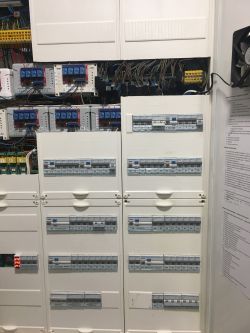 Electrical panel with numerous shelly controllers and cables in a workshop.