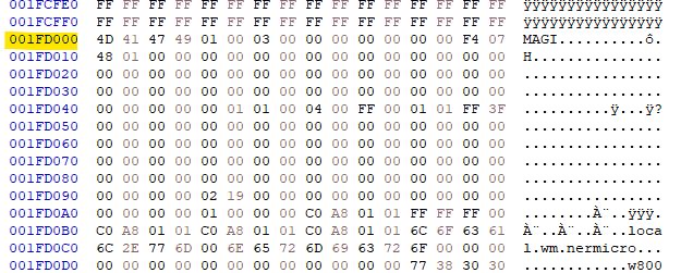 A file fragment in a hex editor showing the ‘MAGI’ signature and ASCII text on the right.