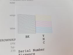 Epson L3070 - rozmazane litery i białe paski przy czarnym tekście