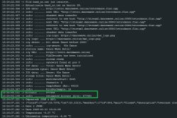 Console log showing FLAC stream info and estimated bitrate of 877493 b/s