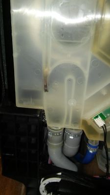 Zmywarka Amica ZWM 446 IE - nie podaje wody na ramiona spryskujące.